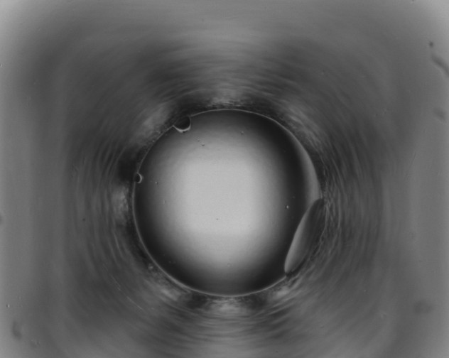X0000096390127200801311329