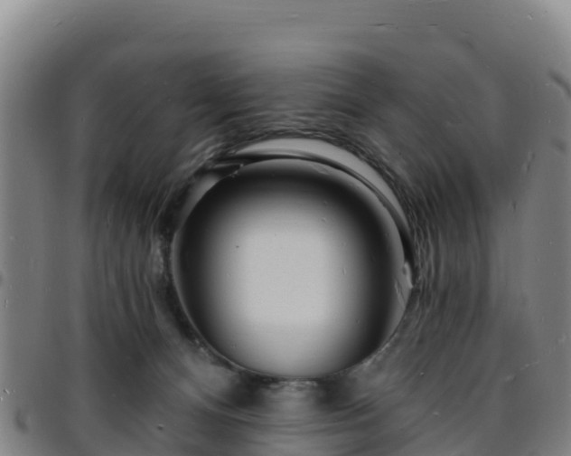 X0000096390128200801311329