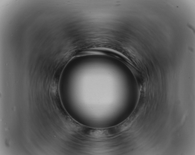 X0000096390129200801311329