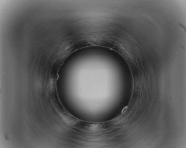 X0000096390130200801311329