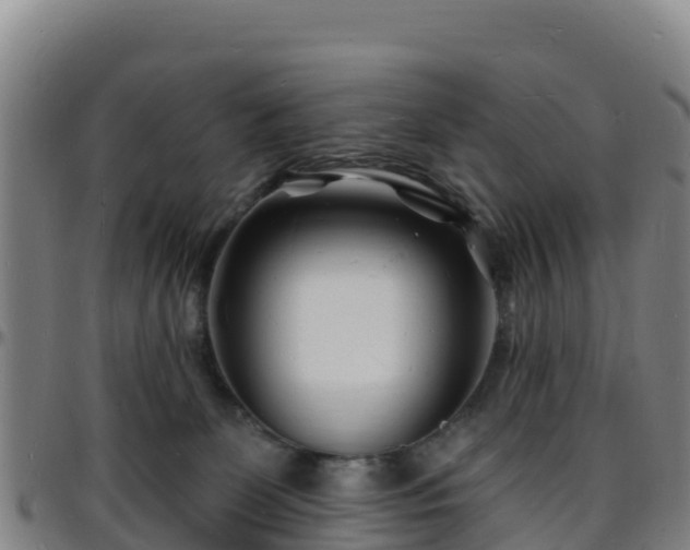 X0000096390131200801311329