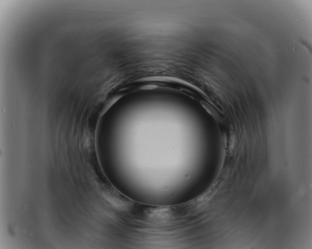 X0000096390132200801311329