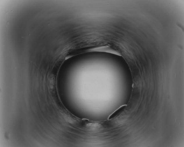 X0000096390133200801311329