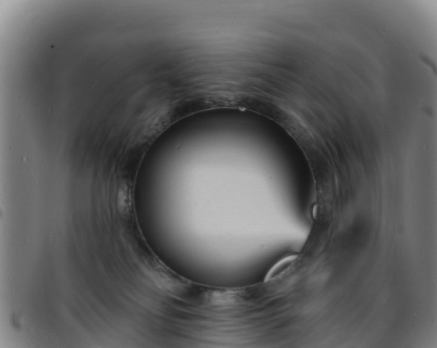 X0000096390134200801311329