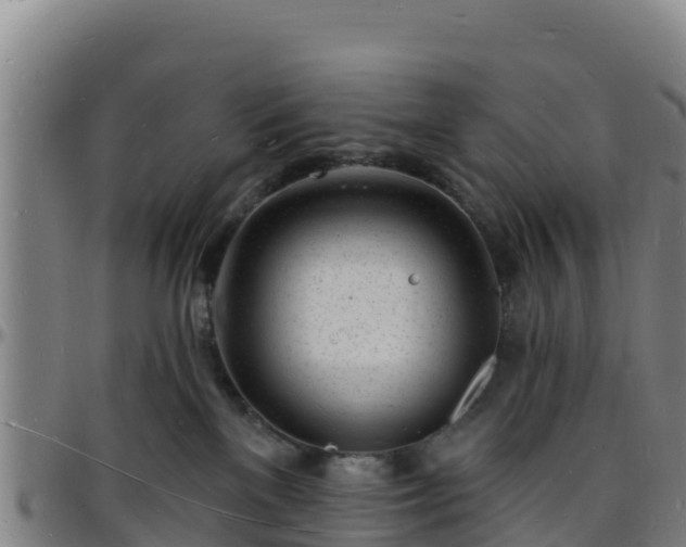X0000096390137200801311329
