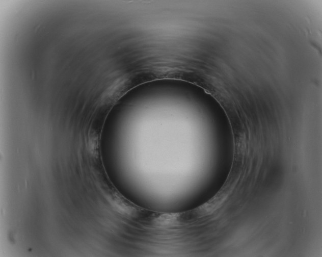 X0000096390138200801311329