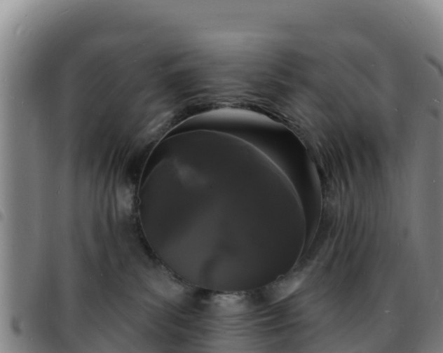 X0000096390139200801311329