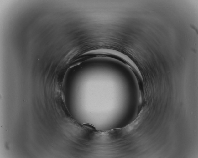 X0000096390140200801311329