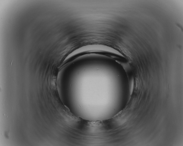 X0000096390141200801311329