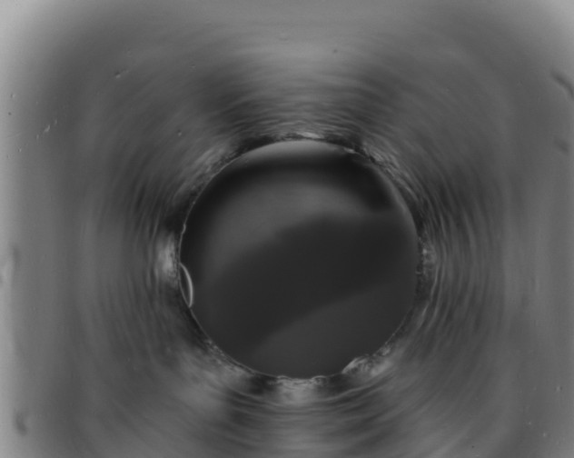 X0000096390143200801311329