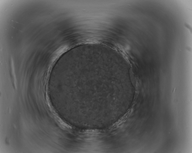 X0000096390145200801311328