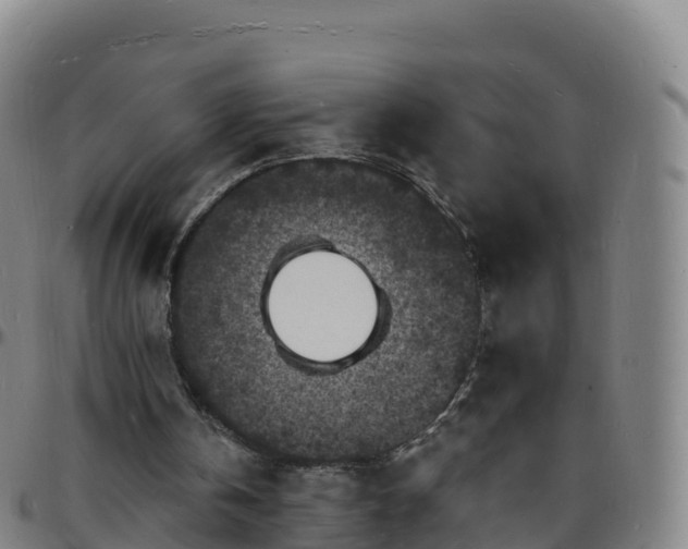 X0000096390146200801311328