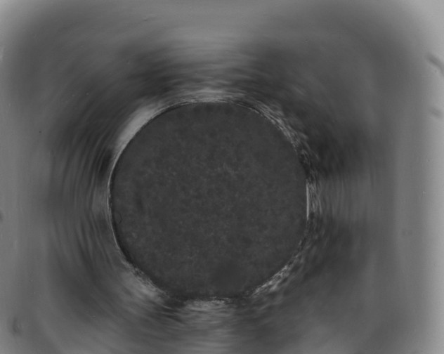 X0000096390147200801311328