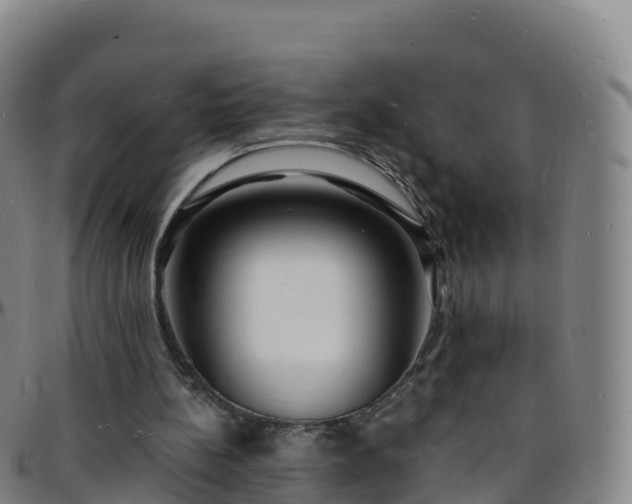 X0000096390148200801311328