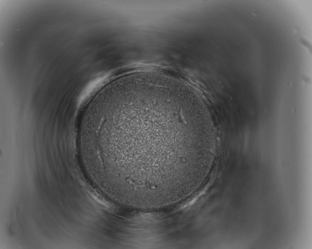 X0000096390149200801311328