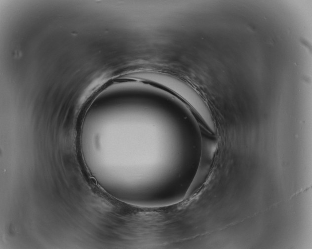 X0000096390150200801311328