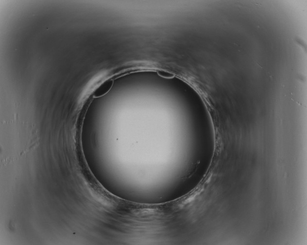 X0000096390151200801311328