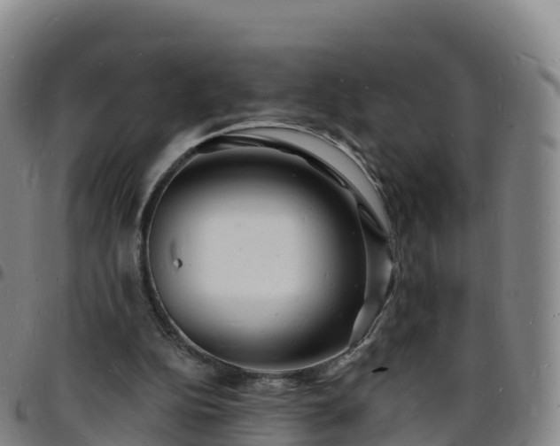 X0000096390152200801311328