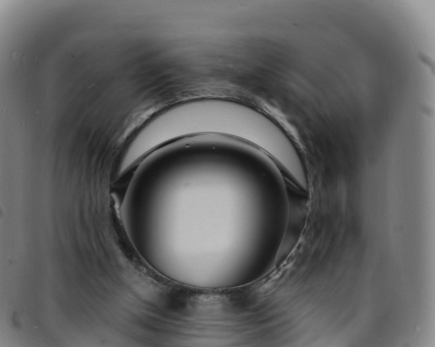 X0000096390154200801311328