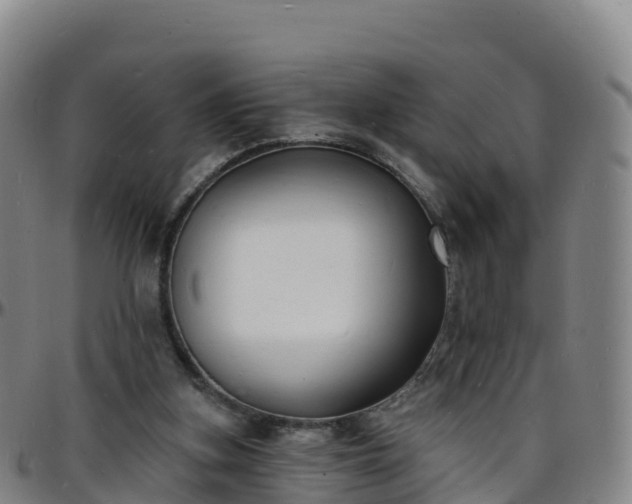 X0000096390155200801311328