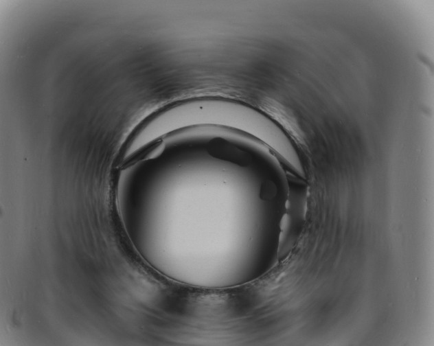 X0000096390156200801311328