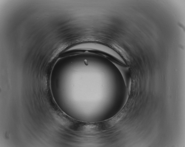X0000096390158200801311328