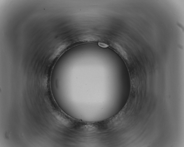 X0000096390159200801311328