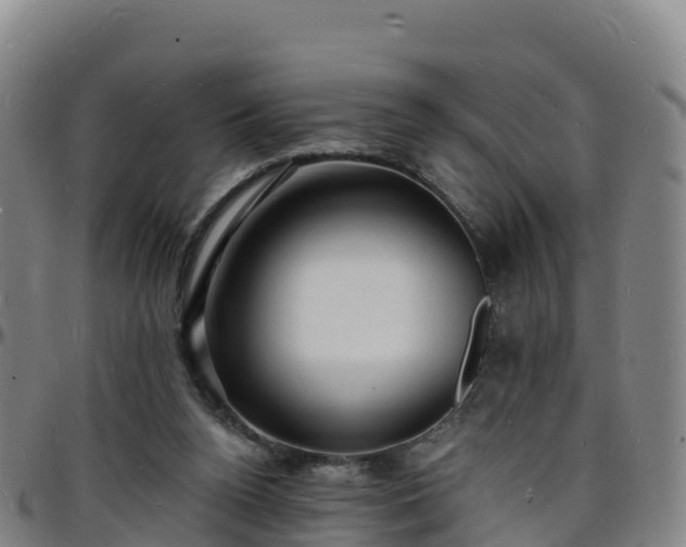 X0000096390160200801311328