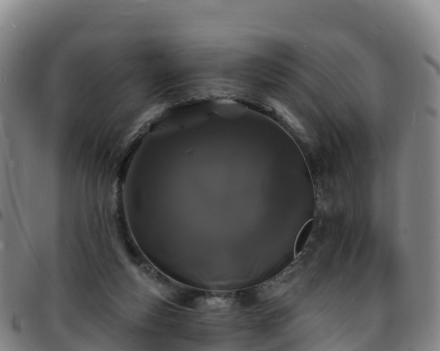 X0000096390163200801311328