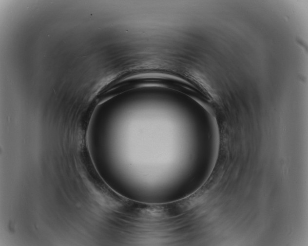 X0000096390164200801311328