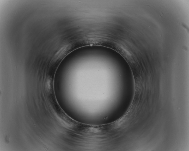 X0000096390166200801311328
