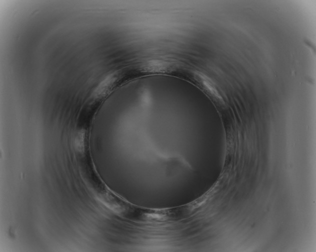 X0000096390167200801311328