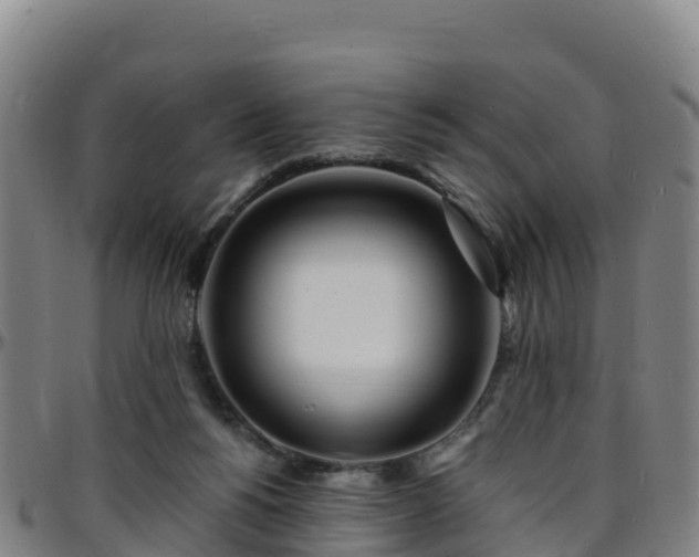 X0000096390168200801311328