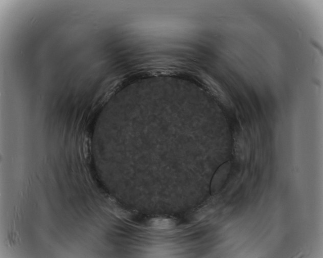 X0000096390169200801311328