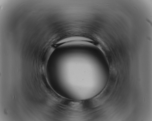 X0000096390170200801311328