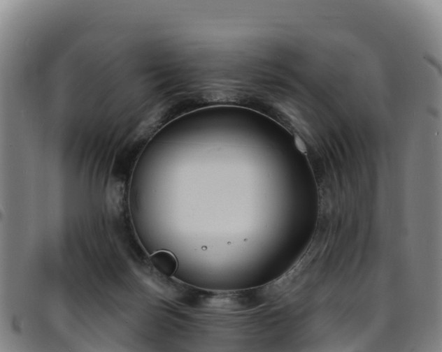X0000096390171200801311328