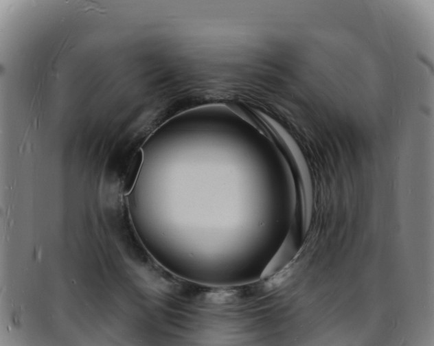 X0000096390172200801311328