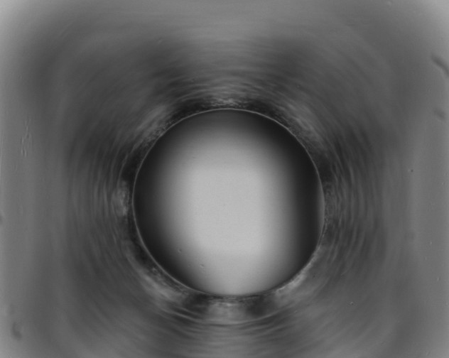 X0000096390174200801311329