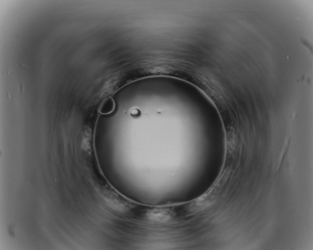 X0000096390175200801311329