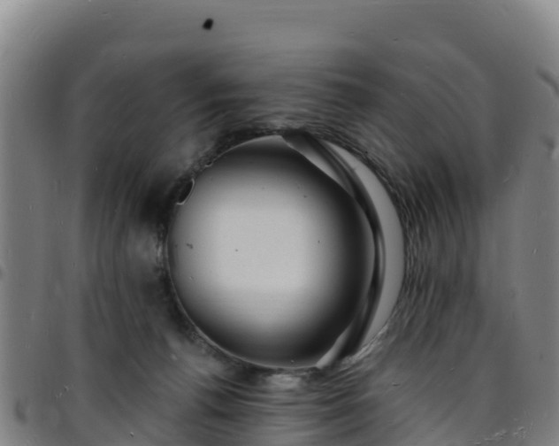 X0000096390176200801311329