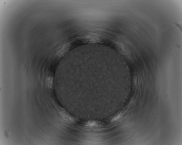 X0000096390177200801311329