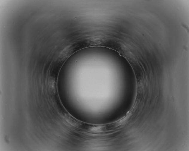 X0000096390178200801311329