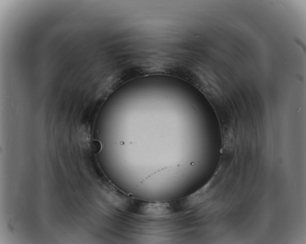 X0000096390179200801311329