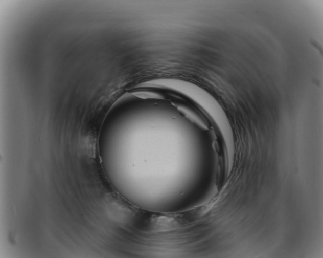 X0000096390180200801311329