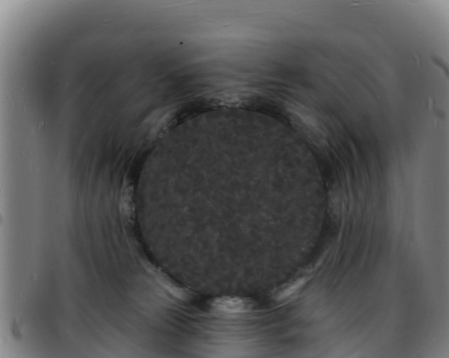X0000096390181200801311329