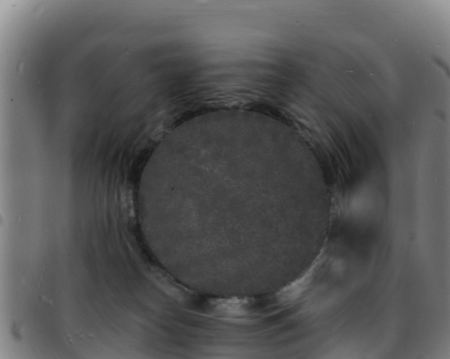 X0000096390182200801311329