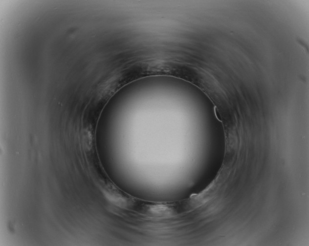 X0000096390183200801311329
