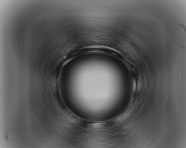 X0000096390184200801311329