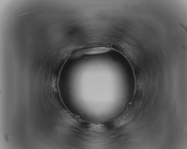 X0000096390185200801311329