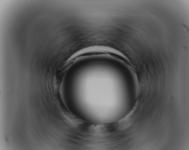 X0000096390186200801311329